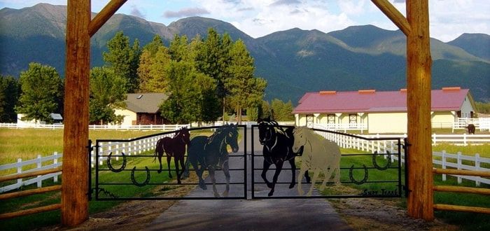 Horses Gate by DXF Design #dxfdesign #dxf #plasma #laser #waterjet #cnc #metalart #welding